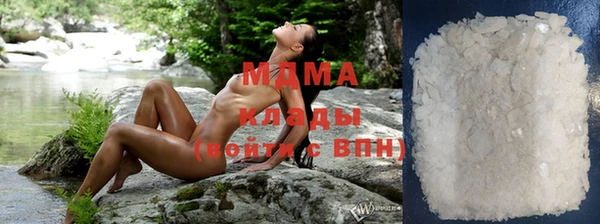 шишки Алзамай