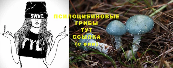 мяу мяу мука Алексин