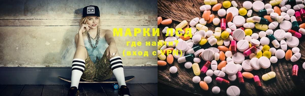 шишки Алзамай