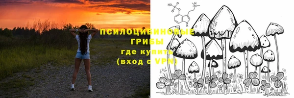 мяу мяу мука Алексин