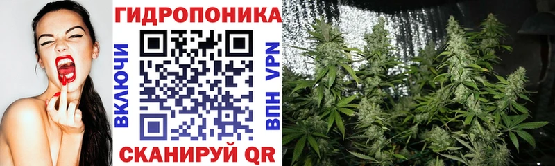 Бошки марихуана Ganja  Порхов 
